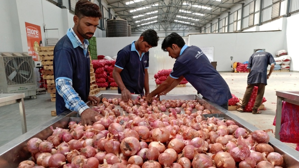 सरकार ने 17 शहरों में सस्ते दाम पर बेचा प्याज. (Photo: Reuters)