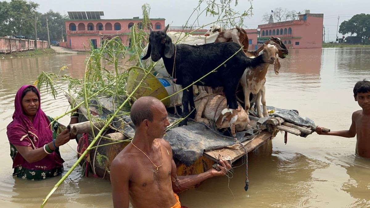 बाढ़ से भागलपुर का बुरा हाल (Photo: ITG)