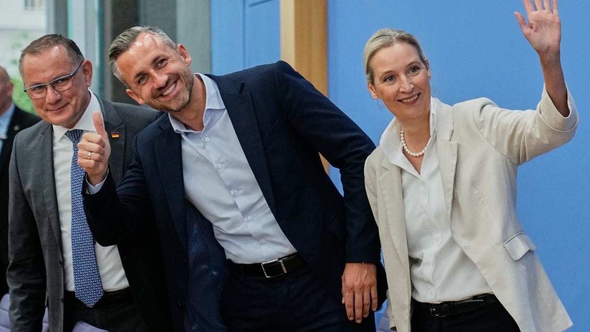 germany afd news