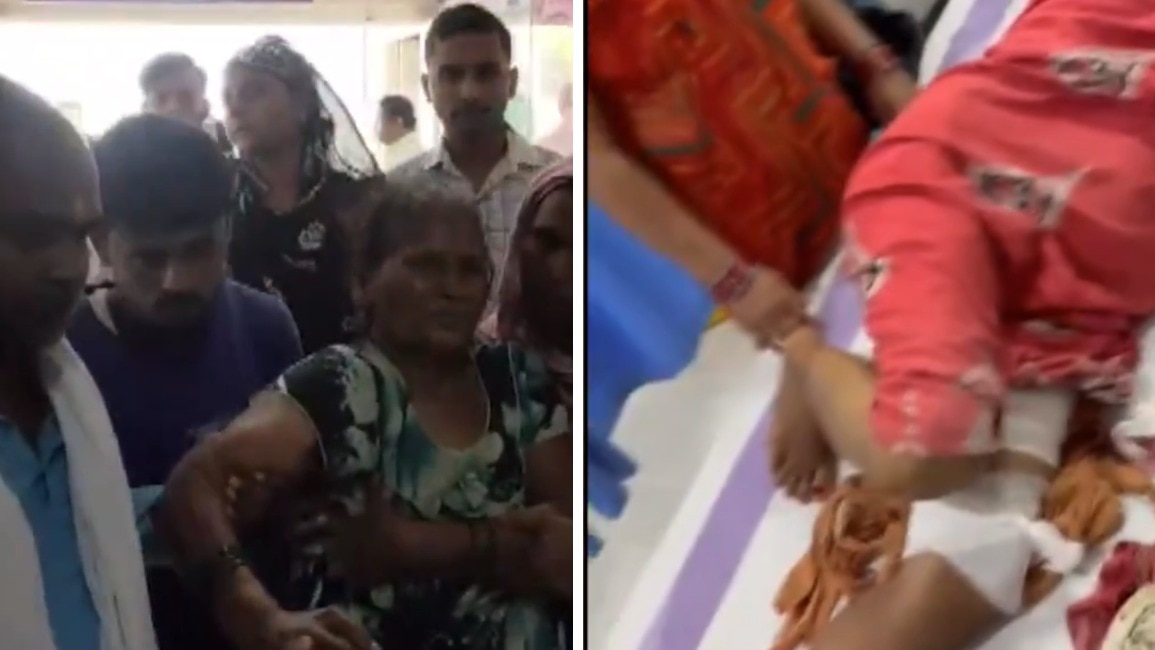  दानापुर इलाके में एक जंगली सूअर ने लोगों पर हमला कर दिया,जिसमें 4 लोग घायल हो गए.(Photo:PTI)