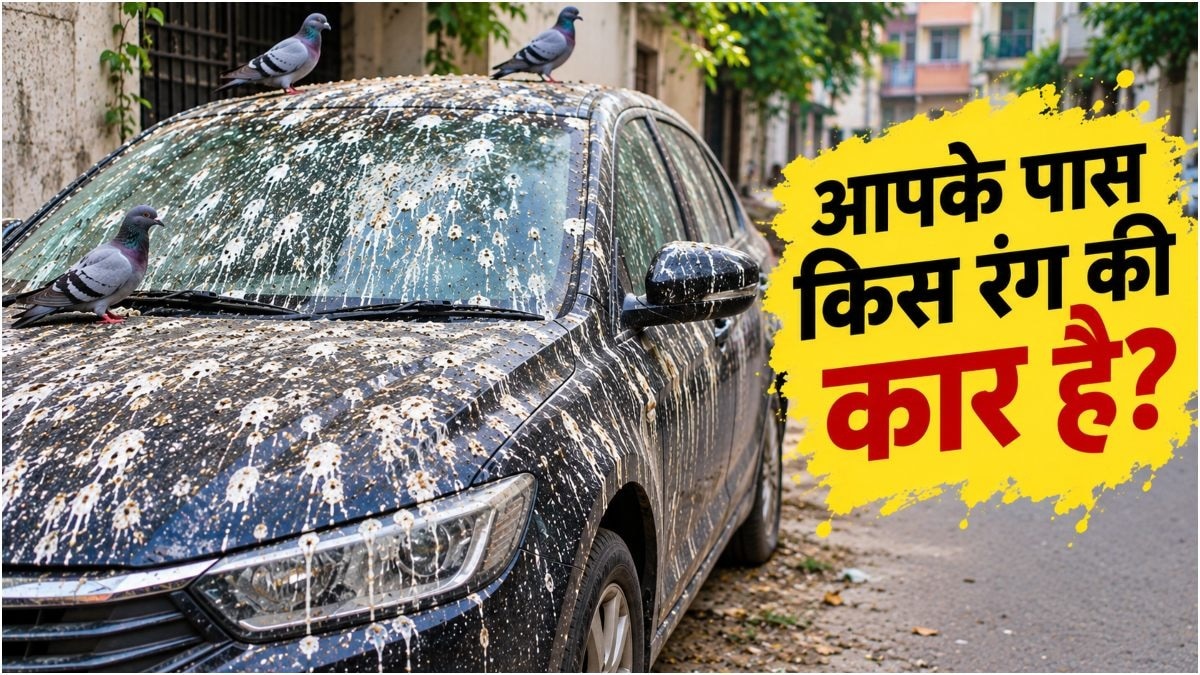 कुछ कलर पक्षियों को ज्यादा आकर्षित करते हैं. (Photo: AI Generated)