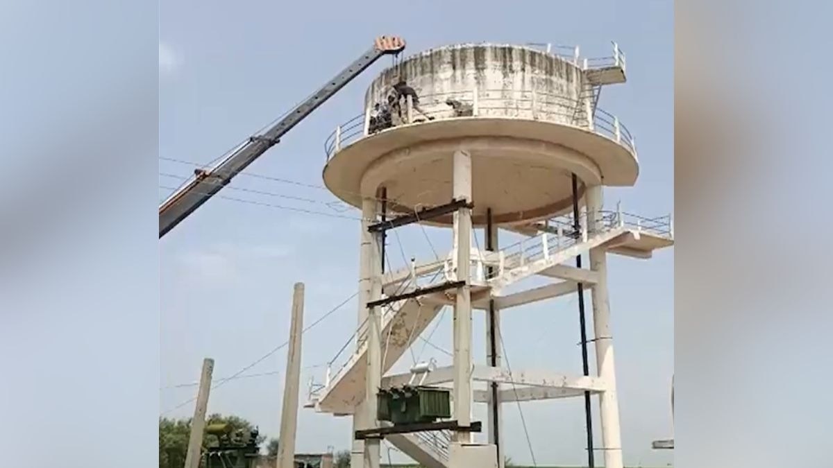 करीब 42 घंटे बाद क्रेन से उतारा गया सांड. (Photo: Screengrab)