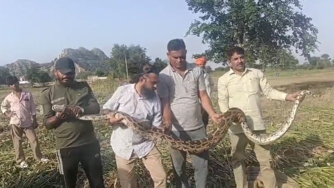 वीडियो वायरल.(Photo: Screengrab)