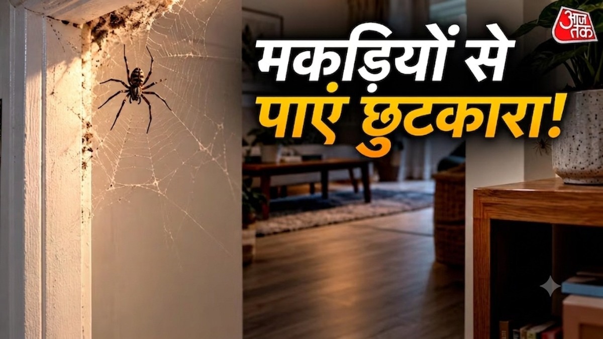 घर के कोने-कोने में मकडियां जाले बना लेती हैं, जो देखने में गंदे लगते हैं. (Photo: ITG)