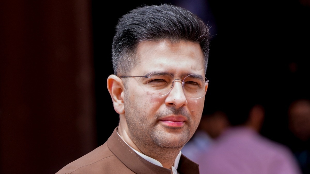 वोटर लिस्ट में राघव चड्ढा का नाम जुड़ने पर विवाद के बीच दिल्ली CEO ऑफिस ने पूरी प्रक्रिया स्पष्ट की है (Photo: PTI)