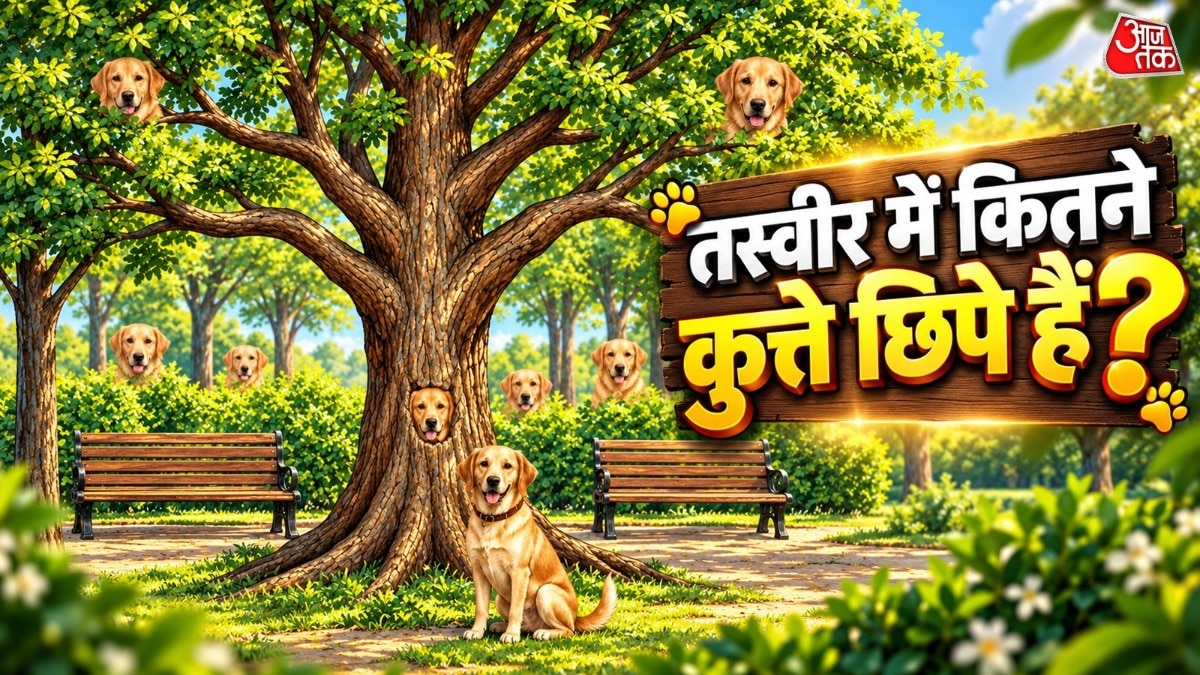 क्या आपकी नजर सभी 8 कुत्तों को खोज सकती है? ( Photo: AI)