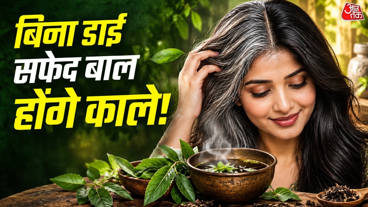 सेज के पत्तियों के पानी को लगातार कुछ दिनों तक इस्तेमाल करने से बालों पर कलर आता है. (Photo: ITG)