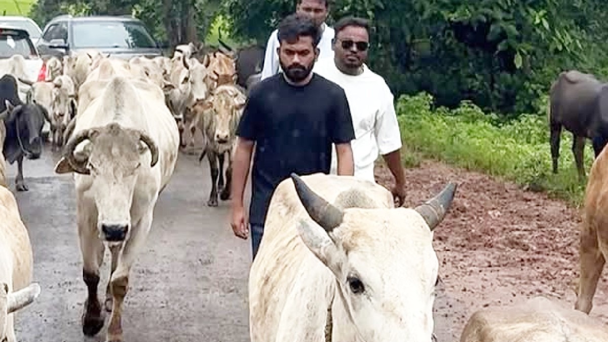 बालाघाट के अडोरी, कोरका और बोंडारी पहुंचे अभिजीत दिपके.(Photo:Insta/abhijeetdipke)