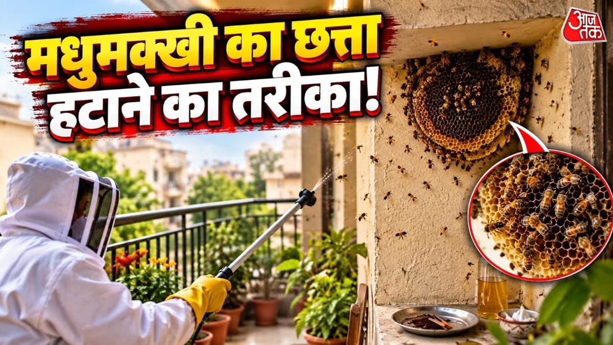 मधुमक्खी का छत्ता हटाने के टिप्स. (PHOTO:AI)