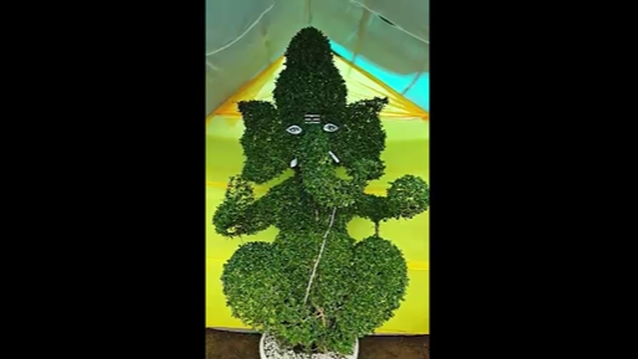 पौधों से तैयार की गई 9 फीट ऊंची ‘वृक्ष गणपति’ प्रतिमा.(Photo- ITG)