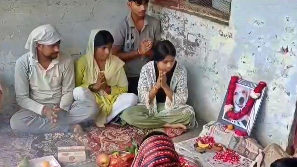 मेरठ में पालतू कुत्ते 'टफ्फू' की तेरहवीं (Photo- Screengrab)