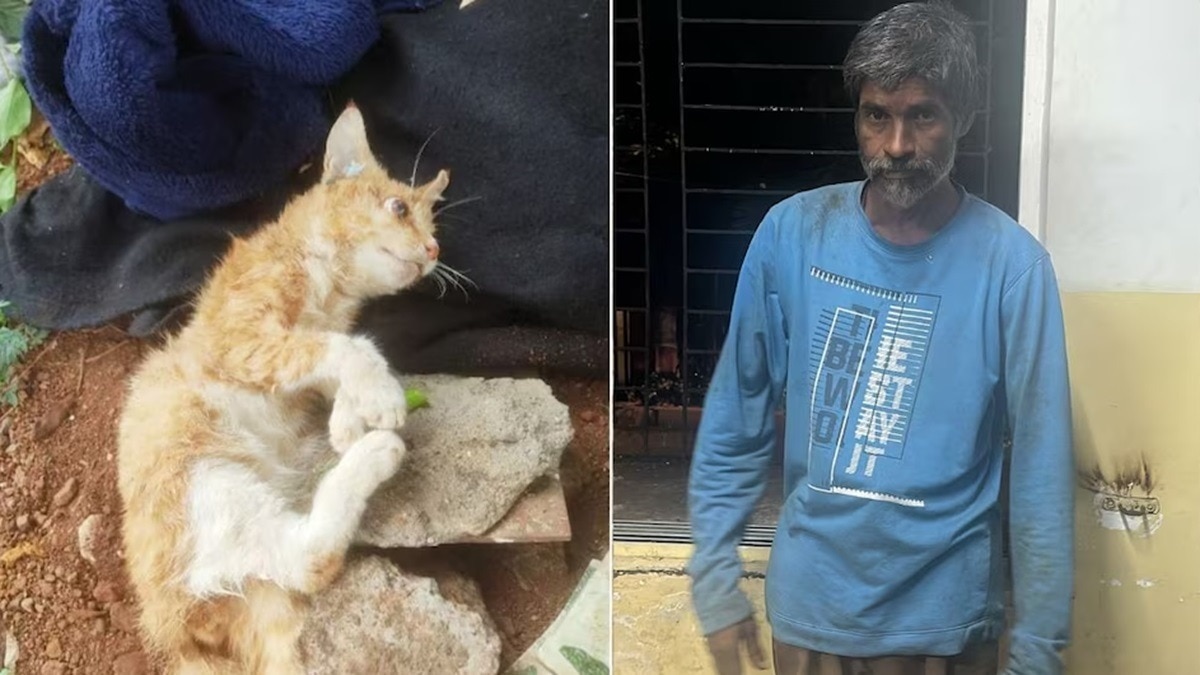 Mumbai Cat Killer Shiva Gets Bail