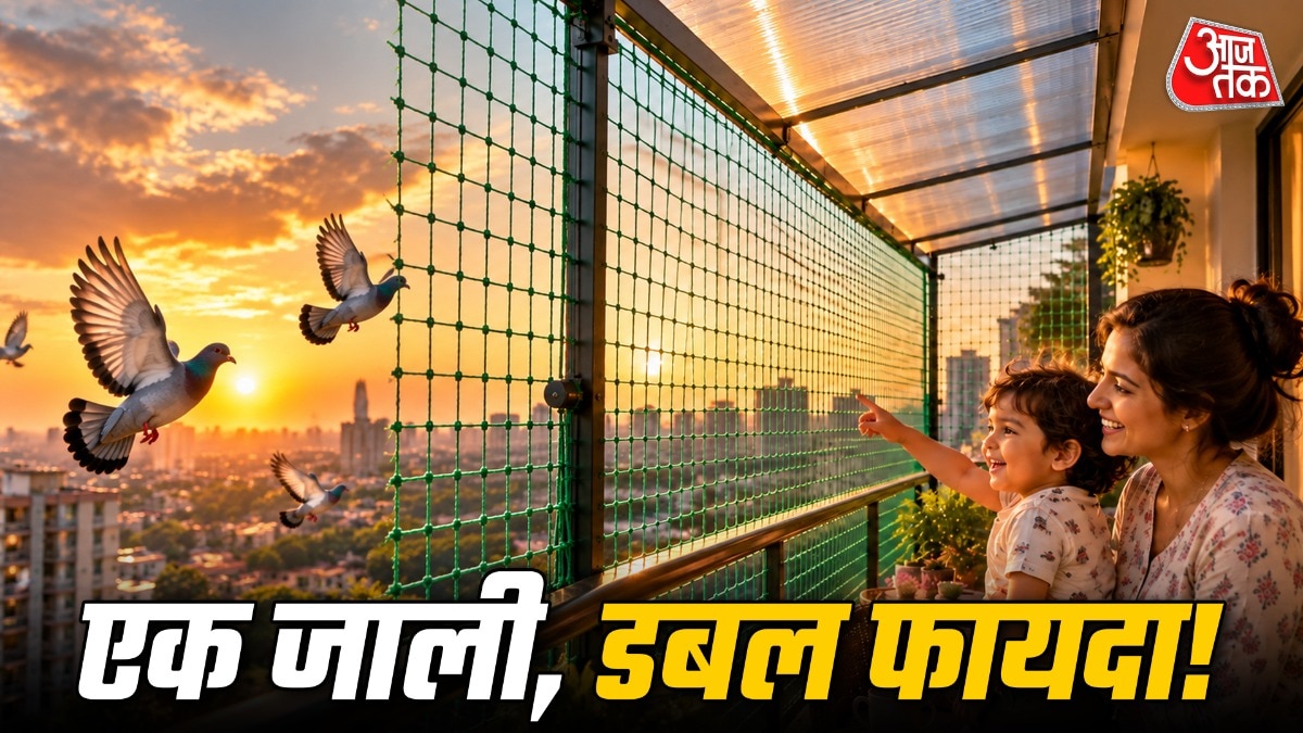 ये वाली जाली लगाने से कबूतरों से छुटकारा मिलता है और बच्चों की सेफ्टी भी बनी रहती है. (Photo: ITG)