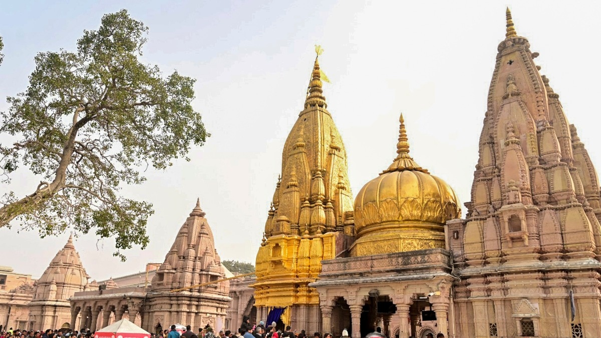 काशी विश्वनाथ मंदिर. (Image: PTI)