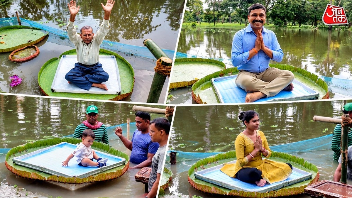 howrah botanical garden giant water lily victoria amazonica adventure