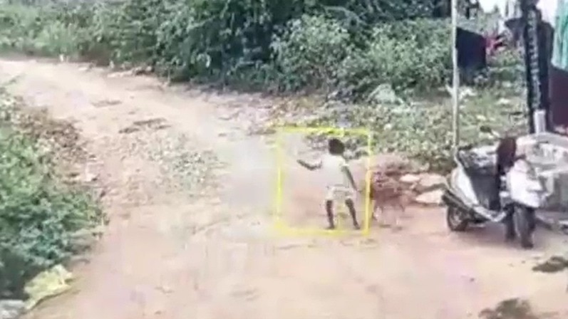 घर के बाहर बच्चे को काटता कुत्ता. (Photo: Screengrabs)