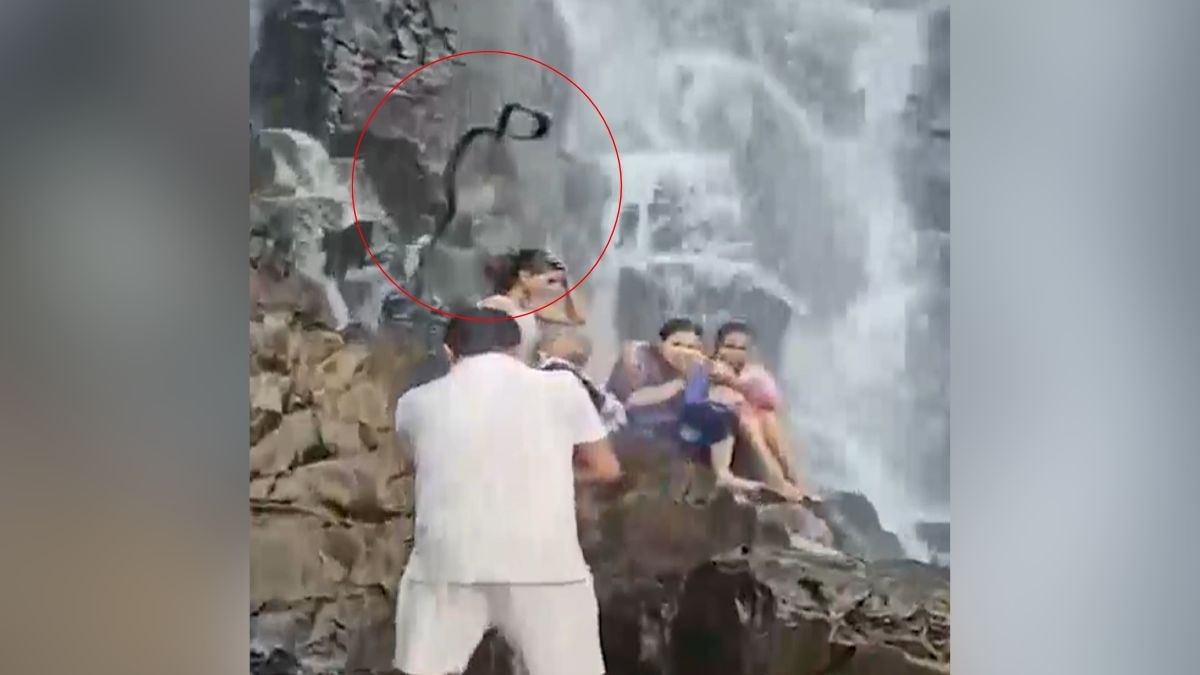 झरने में पानी के साथ पर्टयकों पर गिरा सांप. (Photo: Screengrab)