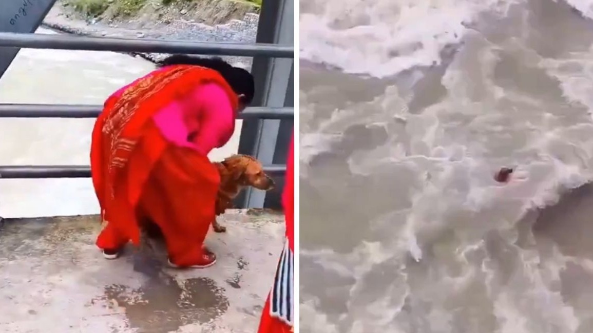 नेपाल में पुल से महिला ने कुत्ते को नदी में फेंका, VIDEO वायरल... पुलिस ने शुरू की जांच