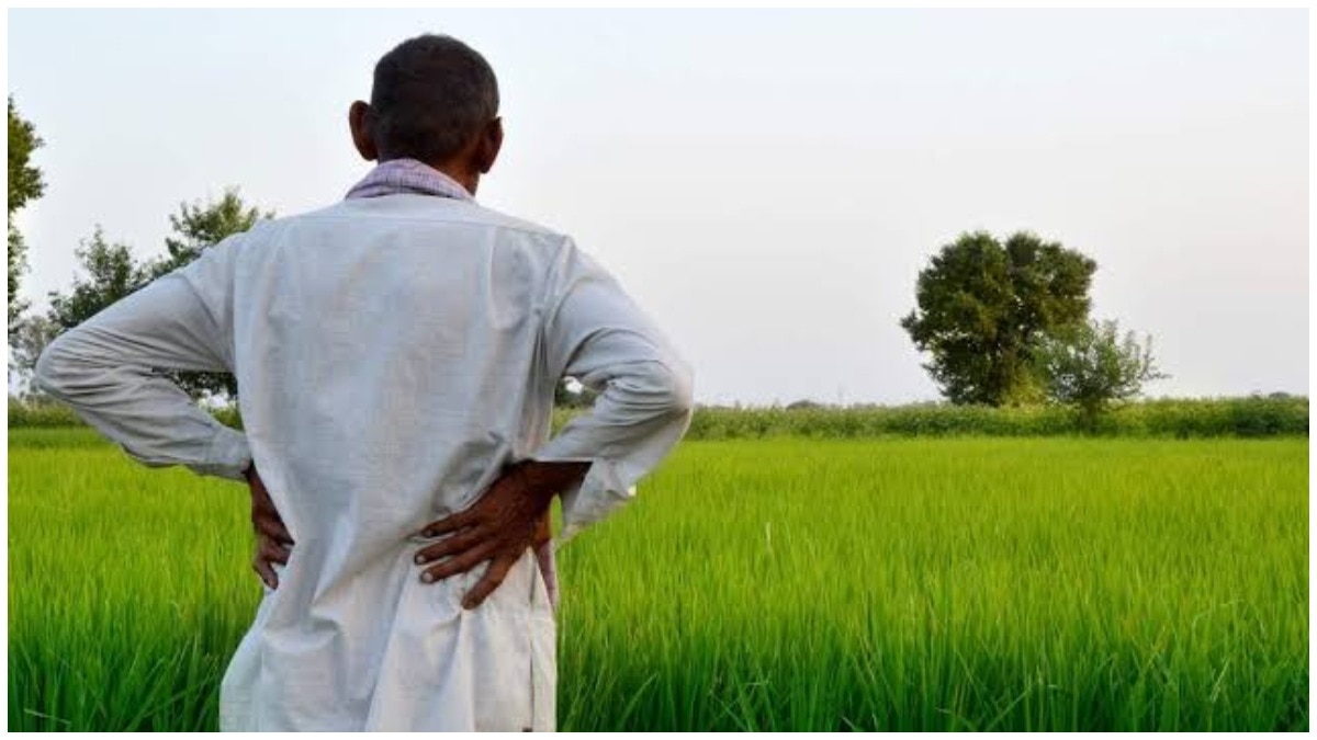 सॉइल हेल्थ कार्ड किसानों को बताता है कि उनके खेत की मिट्टी में क्या कमी है. (File Photo)