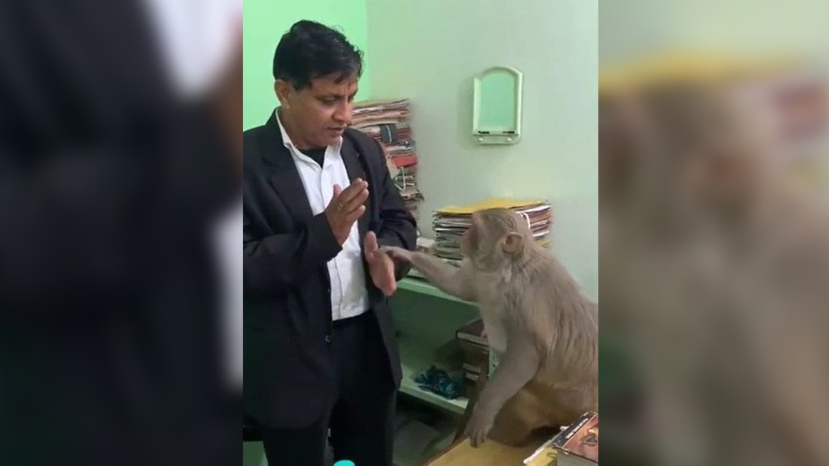 गाजियाबाद के अधिवक्ता महेश यादव और बंदर की दोस्ती का वीडियो वायरल है (Photo ITG)
