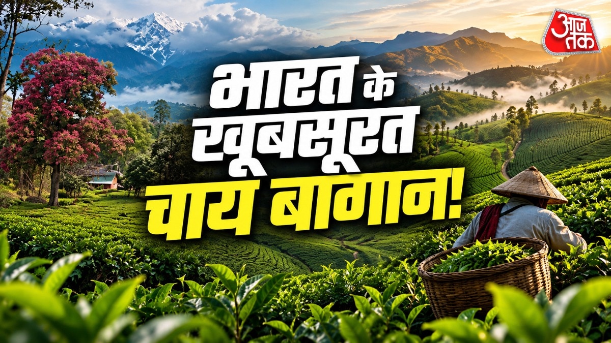 Best Tea Gardens in India