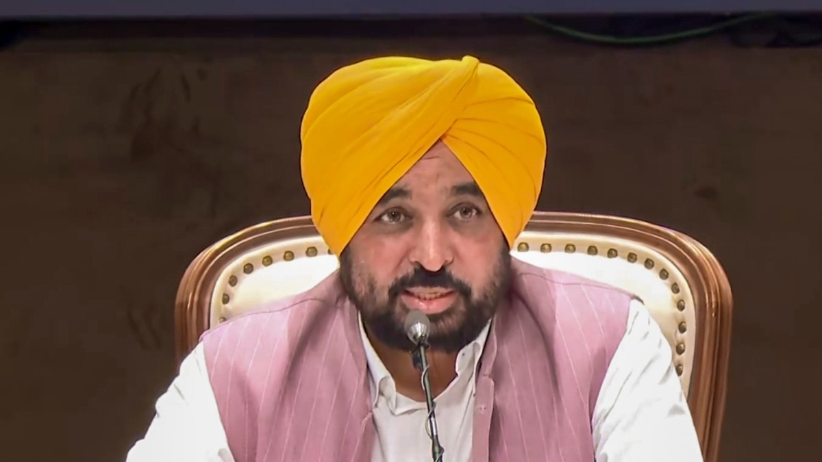     पराली पर FIR के पक्ष में नहीं CM भगवंत मान (Photo: PTI)