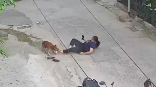 Rohtak Street Dog attack on women and caught 6 people
