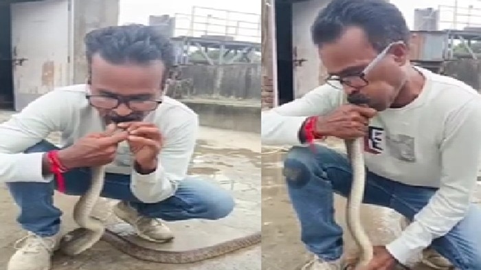 सांप को सीपीआर देता शख्स. (photo: Screengrabs)