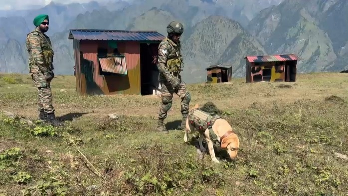 Indian Army dogs at Yudh Abhyas