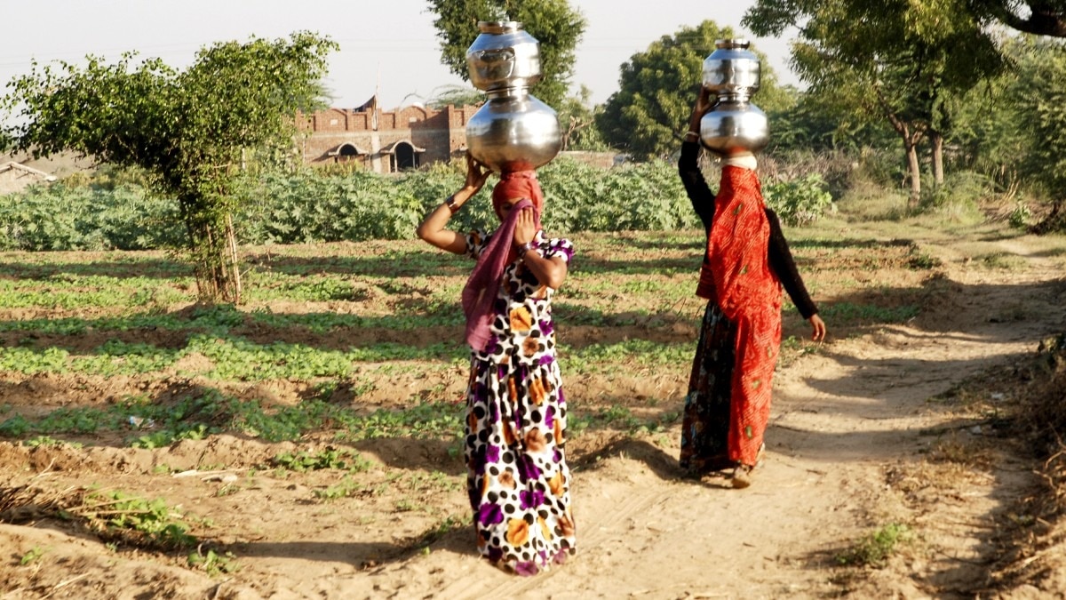 गुजरात के बनासकांठा जिले के वाडिया गांव की पूरी रिपोर्ट.(Photo:PTI)
