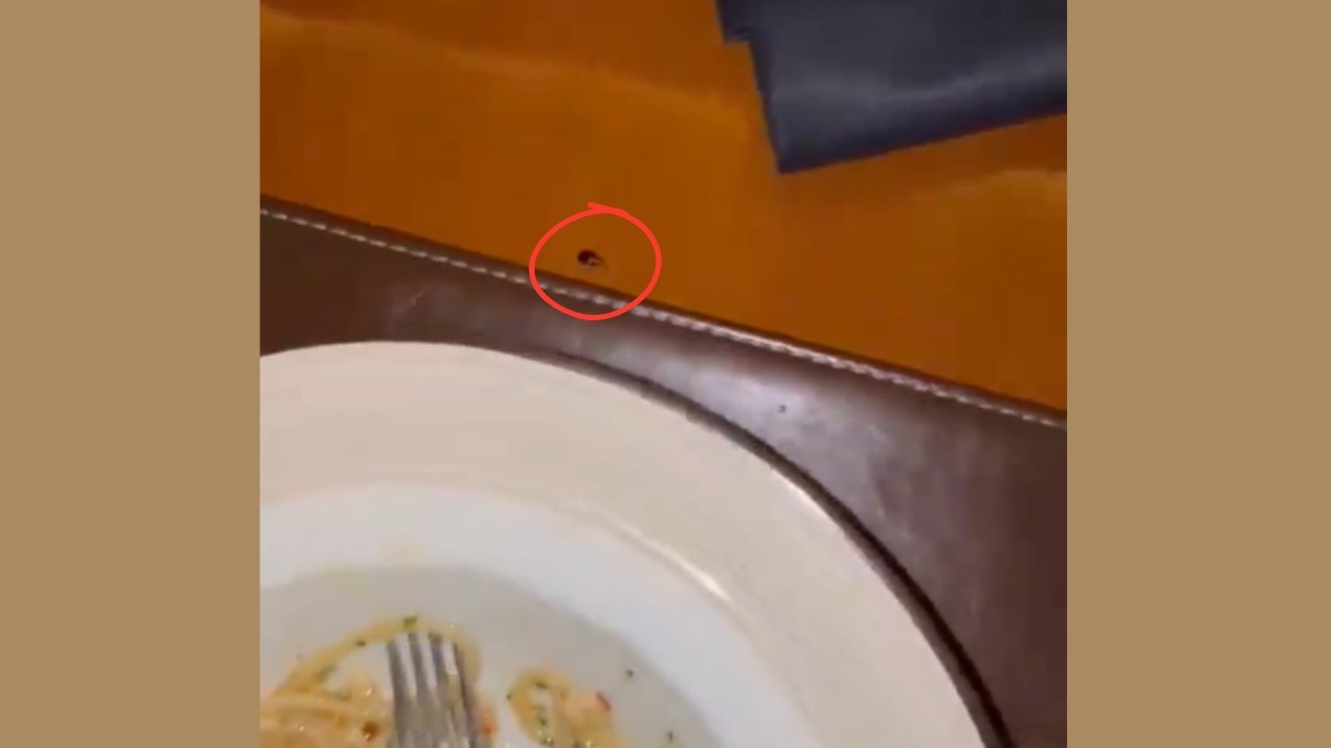 Mumbai: JW Marriott Cockroach.