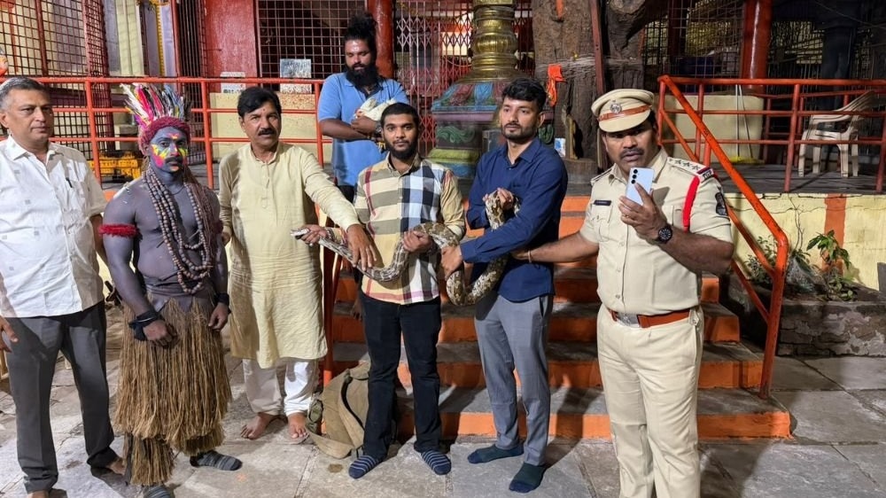पुलिस ने अजगर और मुर्गी का रेस्क्यू किया. (Photo- ITGD)