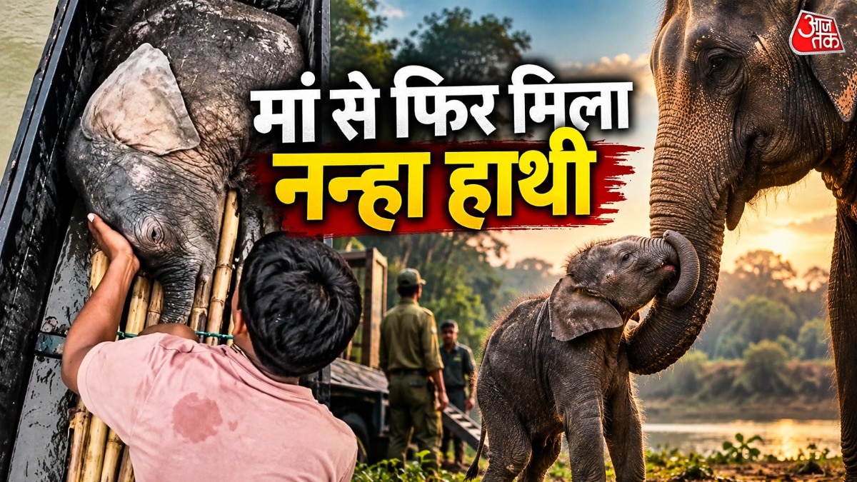 teesta-river-baby-elephant-rescue-fishermen-forest-officials