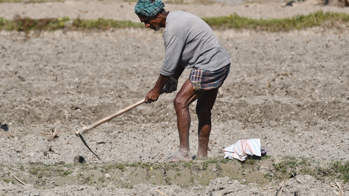 खेत की मिट्टी में क्या कमी, किसानों को ऐसे मिलेगी सही जानकारी (Photo-Pexel)