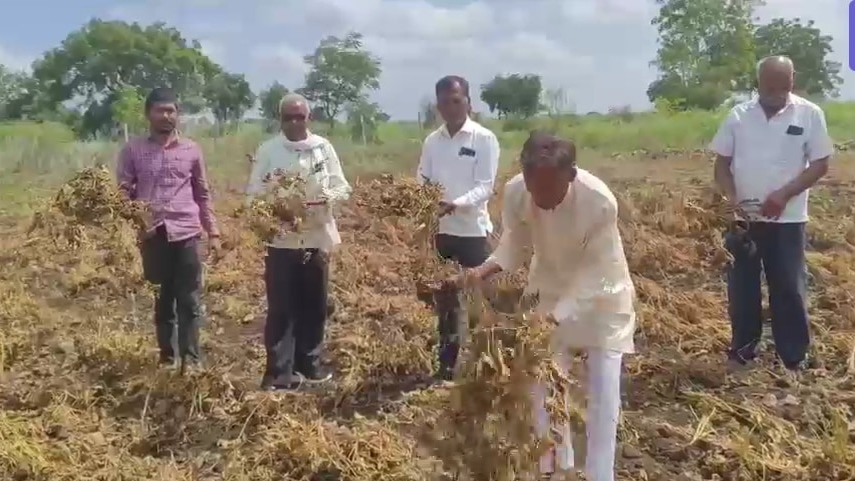 नांदेड़ में सूखे की वजह से फसल खराब हो रही है. (Photo-ITG)