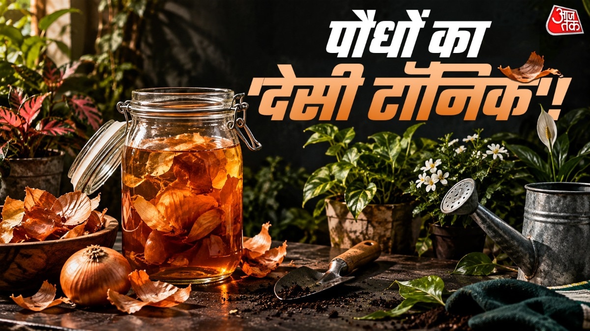 प्याद के छिलके पौधों को हरा-भरा बनाने में मददगार होते हैं. (Photo: ITG)