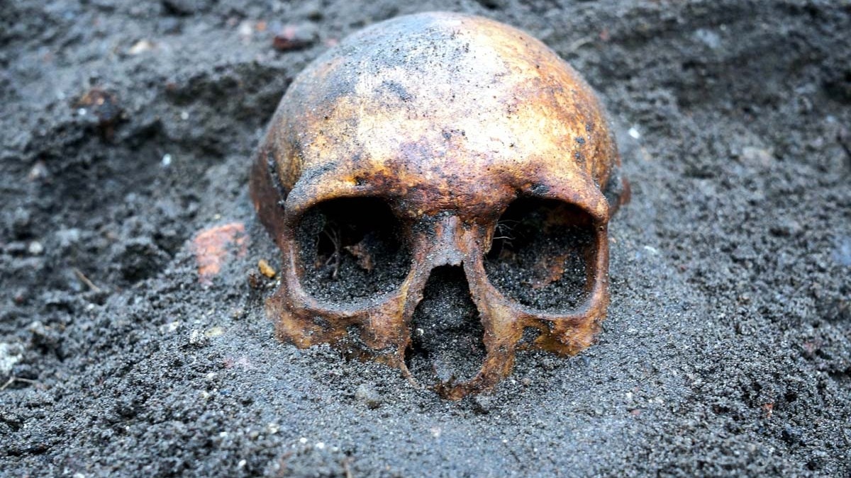 प्राचीन कंकाल के दांत में मिला नशा करने का सबसे पुराना सबूत. (Photo: Getty)