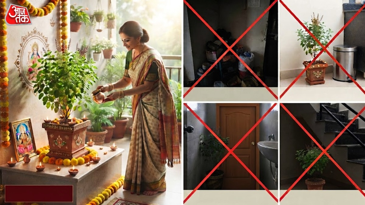 Tulsi Plant Vastu
