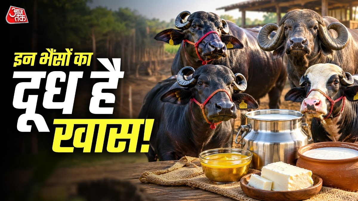 दूध का इस्तेमाल घी, मक्खन और दूसरे डेयरी प्रोडक्ट बनाने में किया जाता है. ( Photo: ITG)
