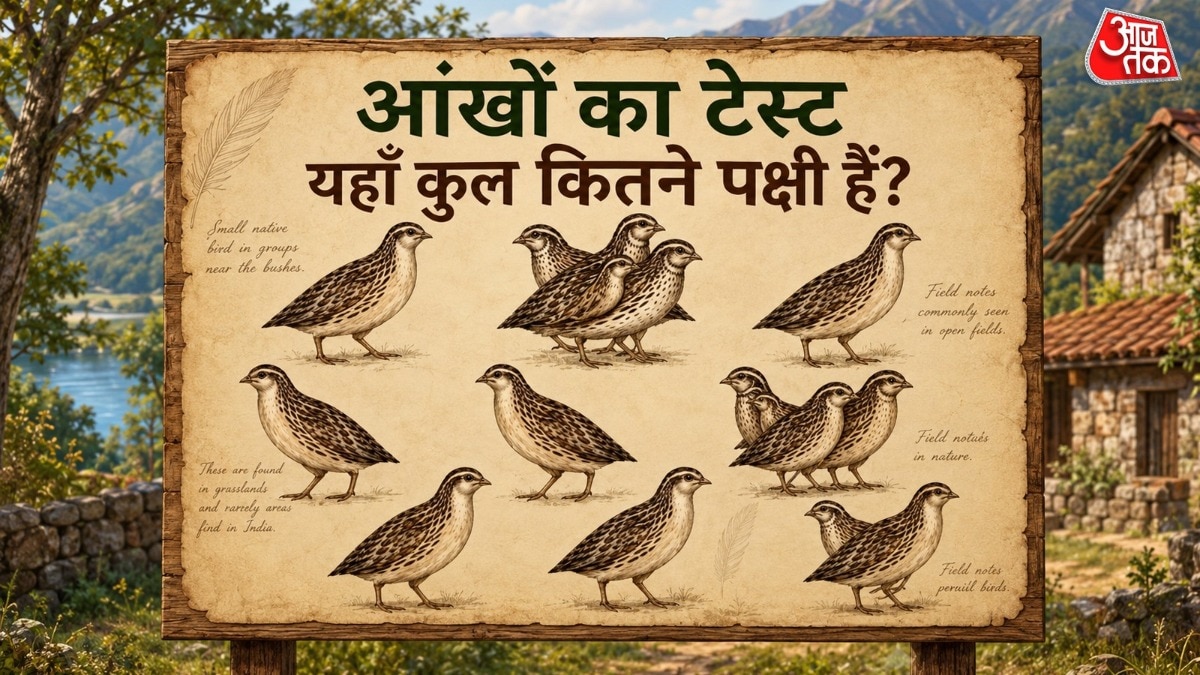 तस्वीर को देखते ही सबसे पहले आपको 14 पक्षी नजर आएंगे. (Photo: ITG)