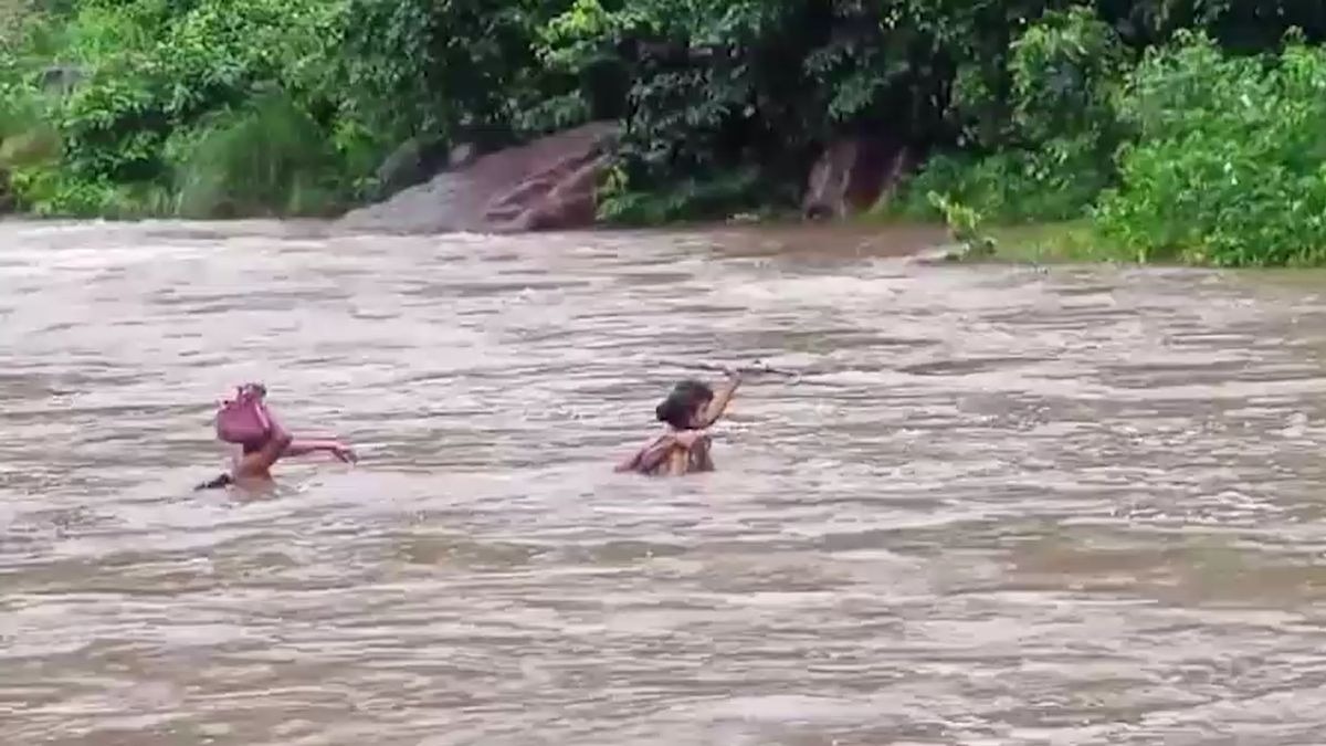जान की बाजी लगाकर नाला पार करने को मजबूर आदिवासी. ( photo: screengrab)