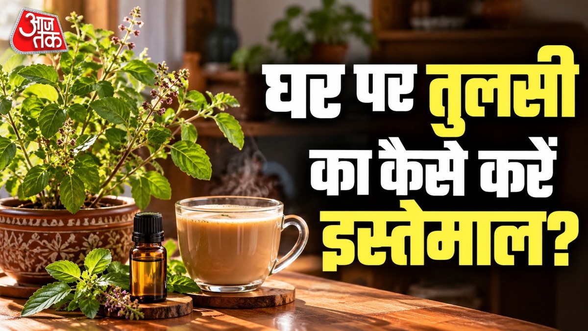 तुलसी का काफी धार्मिक महत्व होता है. (PHOTO:AI)