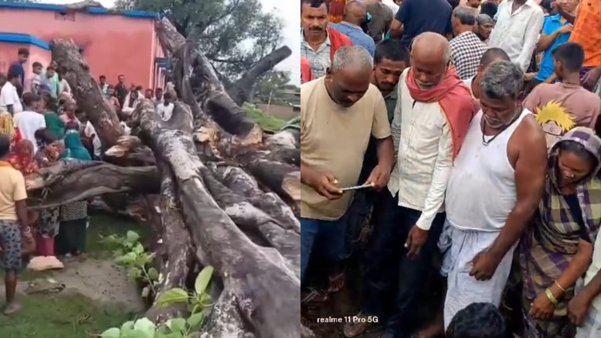 एक छात्रा की हालत गंभीर.(Photo: Jahangir Alam/ITG)