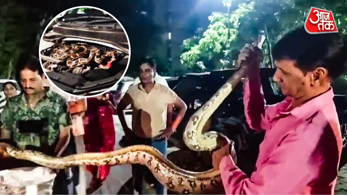 कार के बोनट में मिला 10 फीट लंबा अजगर. (Photo: Screengrab)