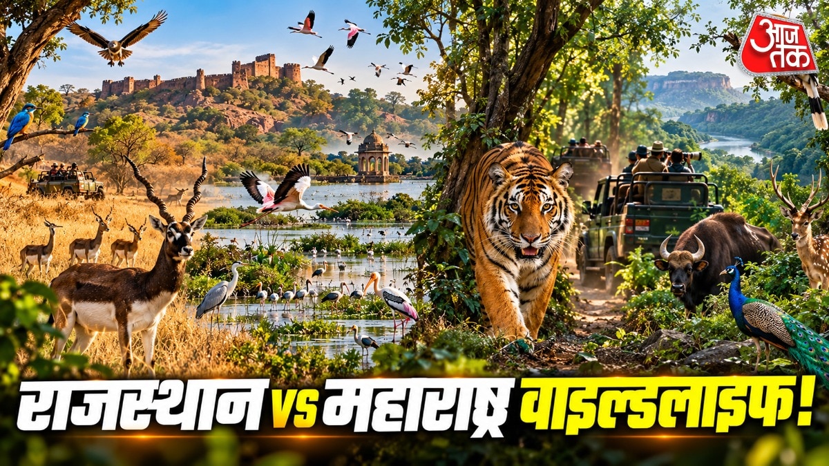 Rajasthan Vs Maharashtra Wildlife