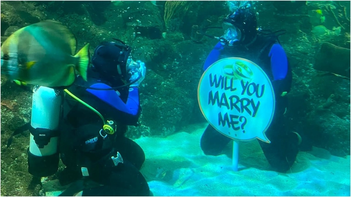 गर्लफेंड ने इस दिन को अपनी जिंदगी का सबसे यादगार दिन बताया (Photo: Facebook/Skegness Aquarium)