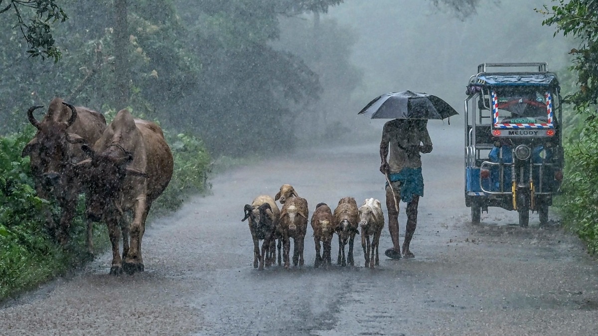 IMD ने देश के कई हिस्सों में भारी बारिश का अलर्ट जारी किया गया है. (File Photo-PTI)