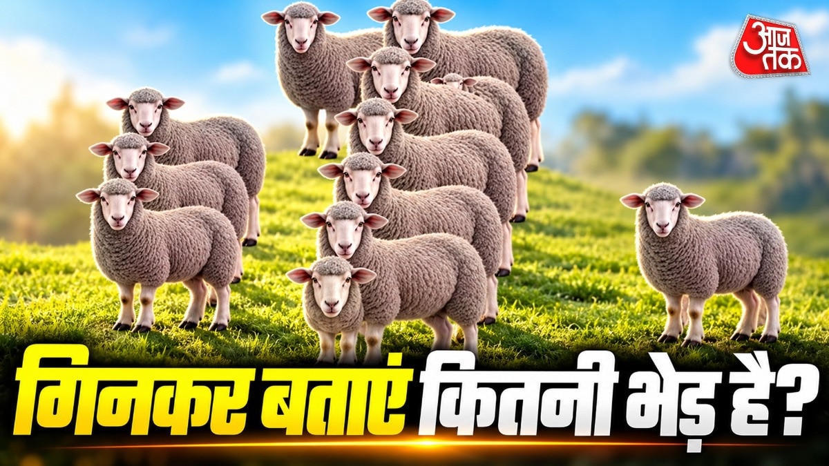 हमारी आंखें सिर्फ तस्वीर देखती हैं, लेकिन उसका मतलब दिमाग समझता है. ( Photo: ITG)