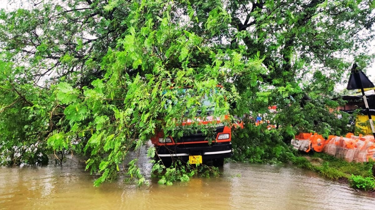 कुछ ही सेकेंड में हाइवे पर मच गई अफरा-तफरी. (Photo: ITG)