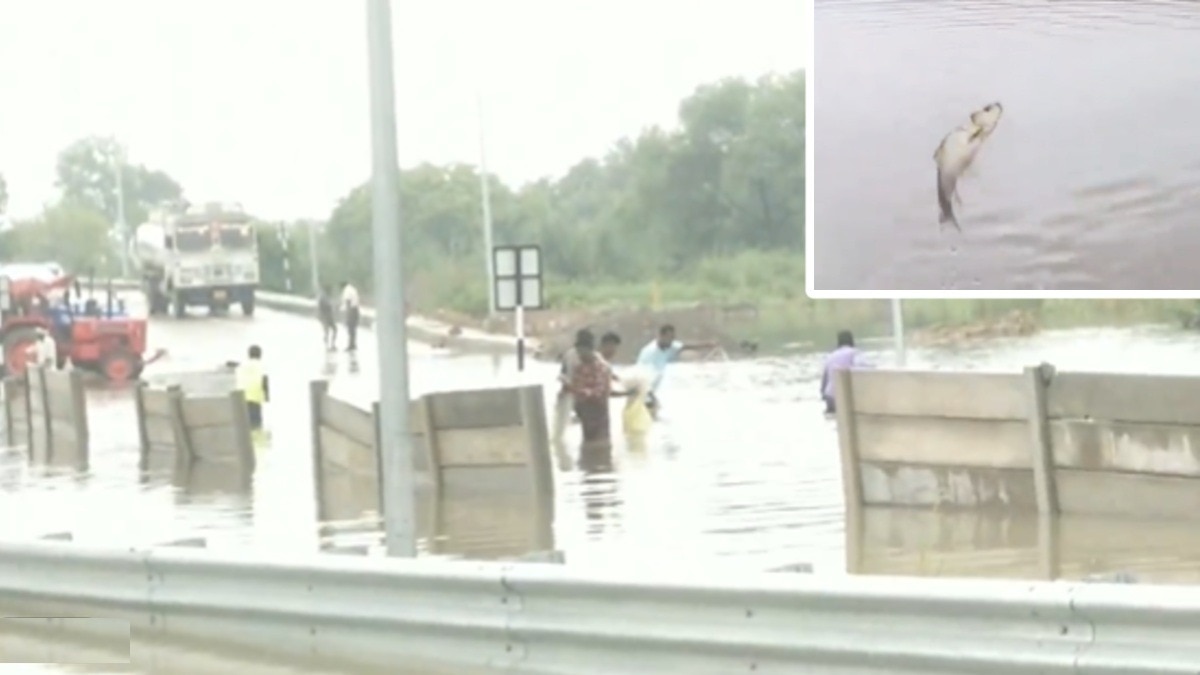 उन्नाव में गंगा एक्सप्रेसवे का टोल प्लाजा बना तालाब.(Photo:Screengrab)